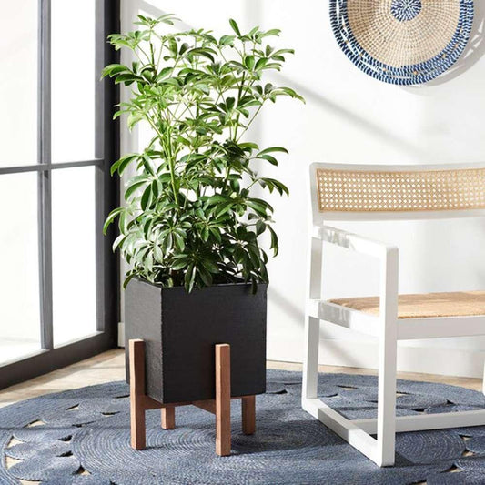 Safavieh - Borsla Planter - Black - PAT1512A veiw 2