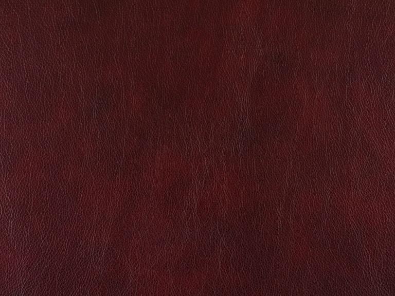 Bradington-Young - Alta High Leg Reclining Lounger - Pushback Recline - Burgundy - BYX-4104980007-69MHBN veiw 2