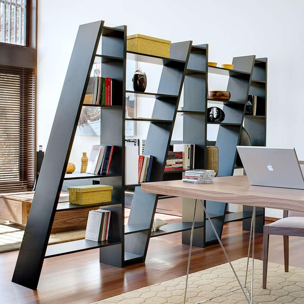 TEMAHOME - Delta Bookcase in Pure Black - 9500315411 veiw 5