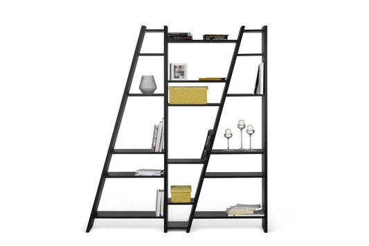 TEMAHOME - Delta Bookcase in Pure Black - 9500315381 veiw 2