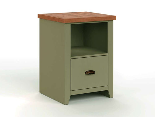 Legends Furniture - Bridgevine Home 20 in. Sage Green and Fruitwood Finish Solid Wood File Cabinet - VY6805.SFL veiw 2