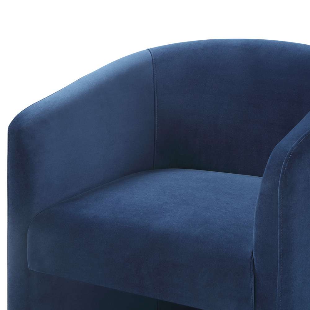 Steve Silver - Iris Upholstered Accent Chair - Indigo - IR500B veiw 4