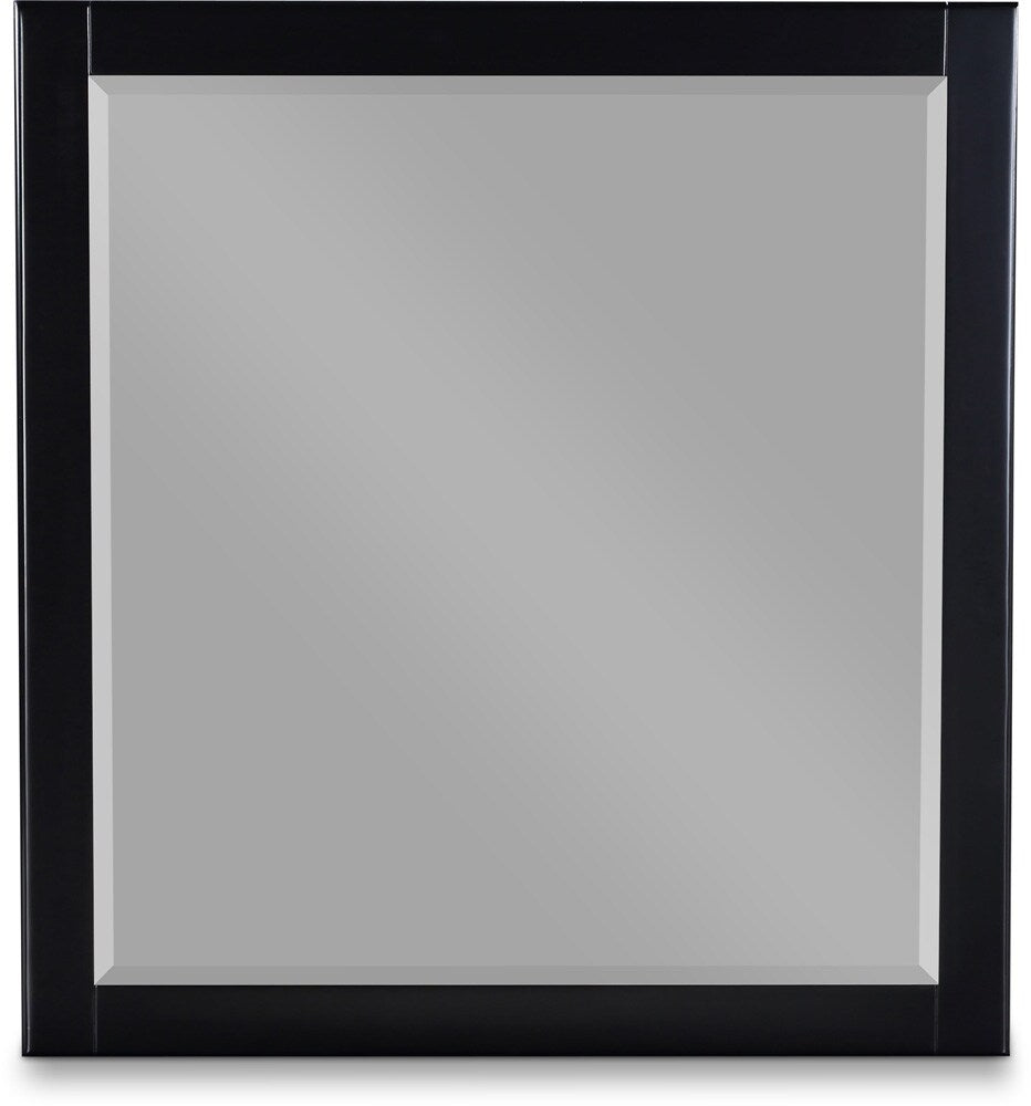 Meridian Furniture - Zayne Black Mirror - 842Black-M veiw 1