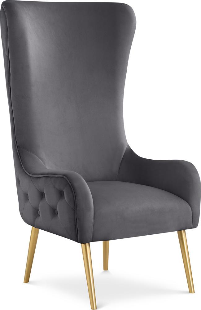 Meridian Furniture - Alexander Grey Velvet Accent Chair - 536Grey veiw 1
