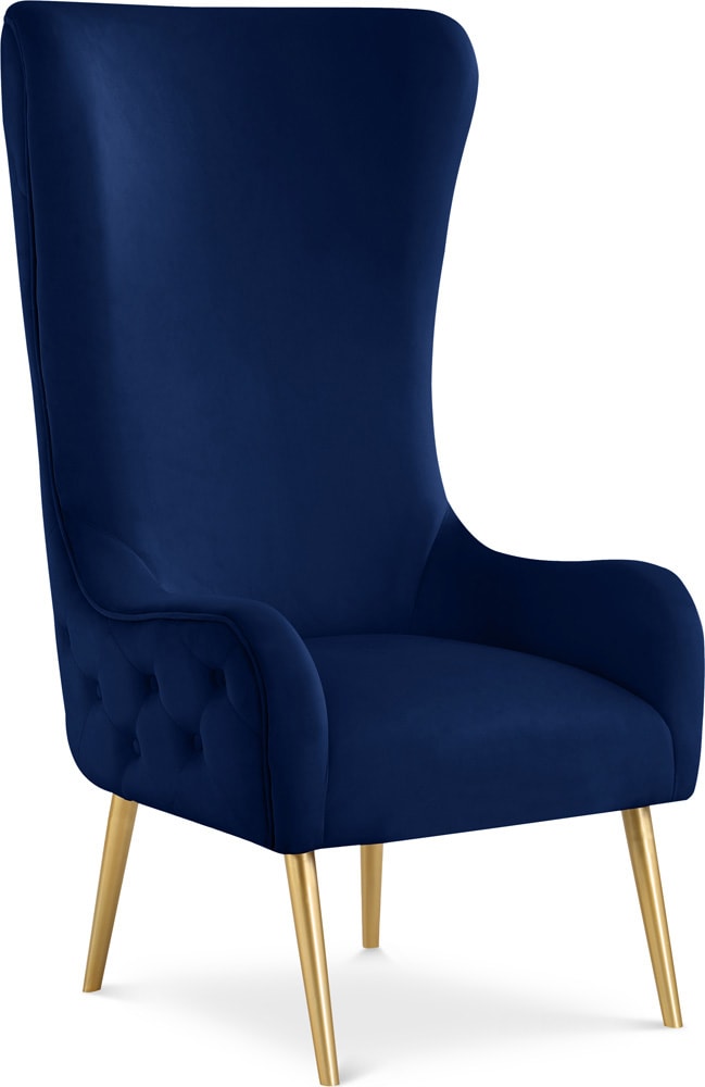 Meridian Furniture - Alexander Navy Velvet Accent Chair - 536Navy veiw 1