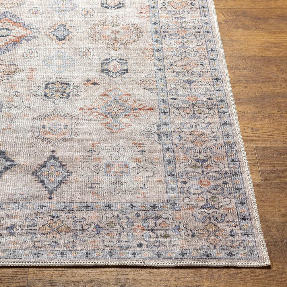 Livabliss - Alanya 67inx9 Machine Woven Rug - ALY2302-679 veiw 5