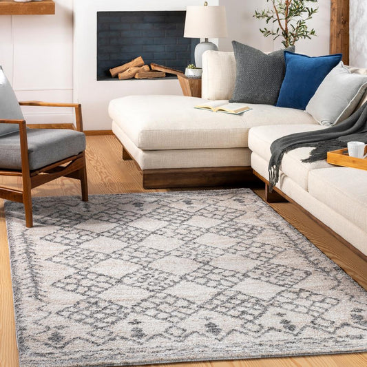 Livabliss - Andorra 710inx10 Machine Woven Rug - ARD2307-71010 veiw 2