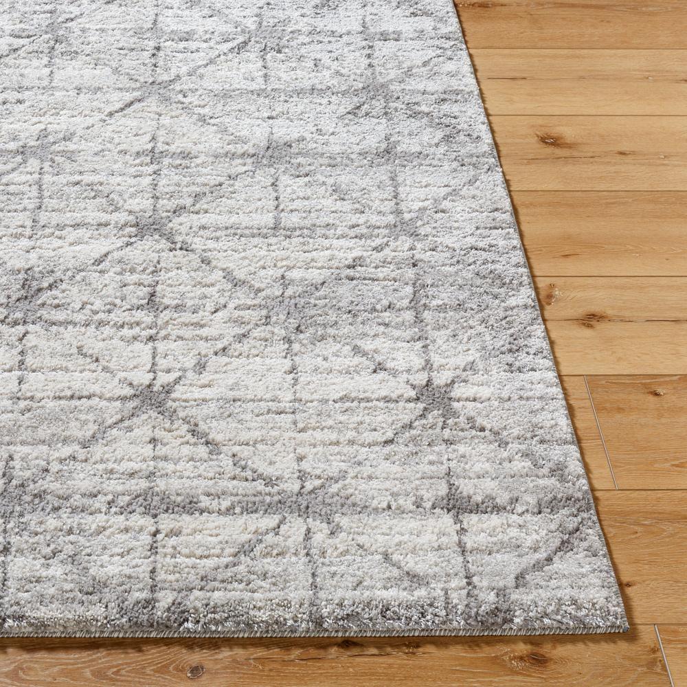 Livabliss - Andorra Plus 2x211in Machine Woven Rug - ARP2307-2211 veiw 4