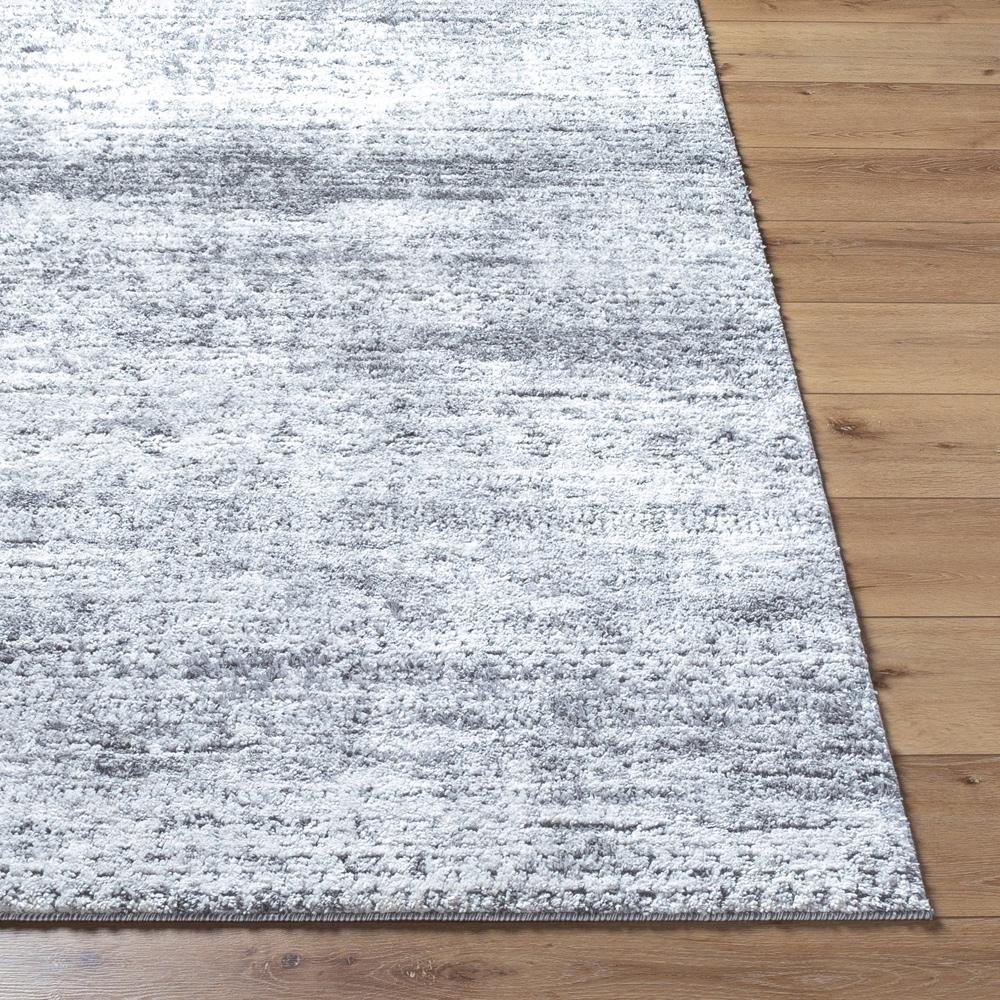 Livabliss - Andorra Plus 53inx73in Machine Woven Rug - ARP2311-5373 veiw 4