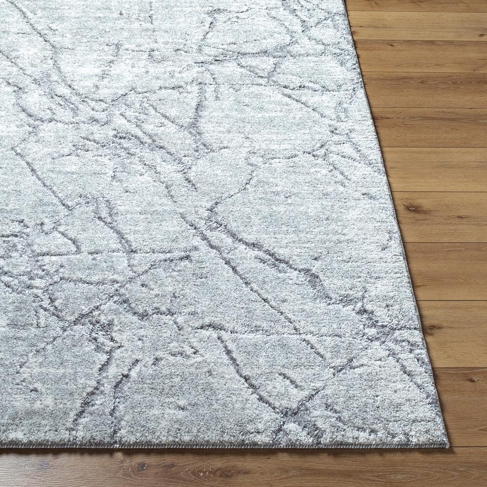 Livabliss - Andorra Plus 710inx10 Machine Woven Rug - ARP2313-71010 veiw 4