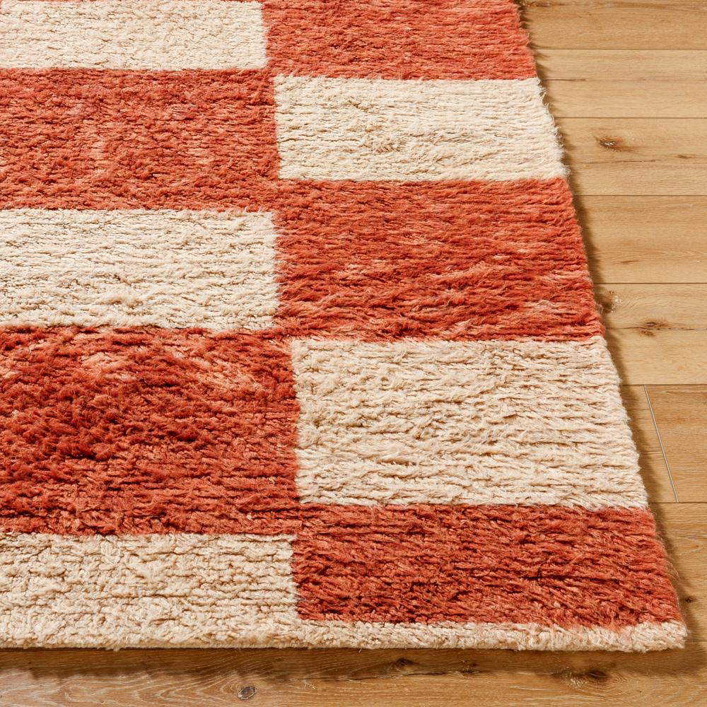 Livabliss - Beni Moroccan 9x12 Handmade Rug - BMC2301-912 veiw 4