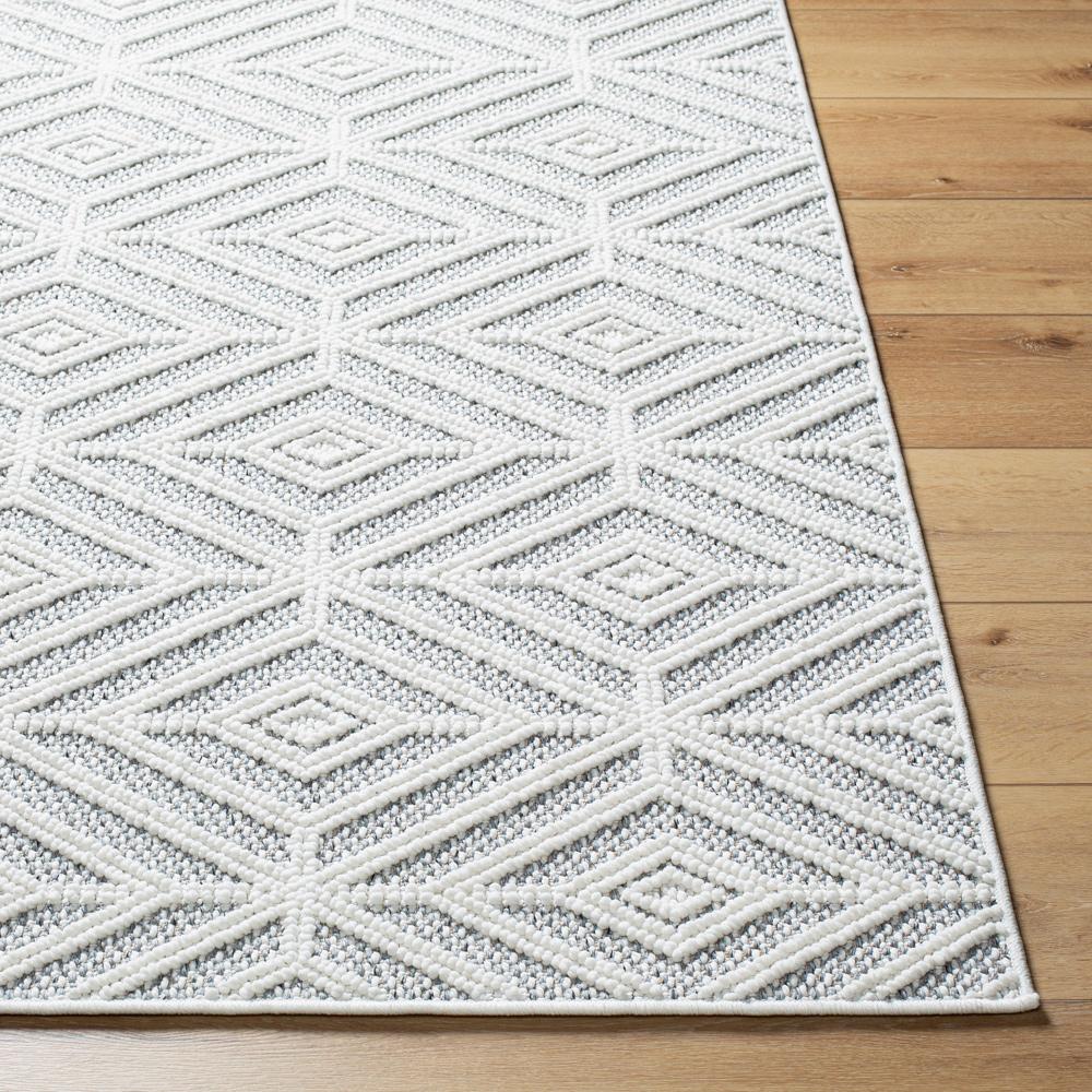 Livabliss - Bouclair 67inx9 Machine Woven Rug - BCR2318-679 veiw 4