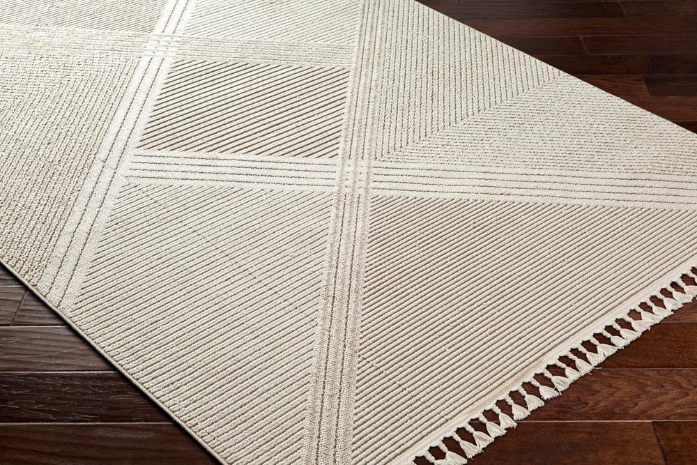 Livabliss - Finland 22inx39in Machine Woven Rug - FND2304-2745 veiw 3