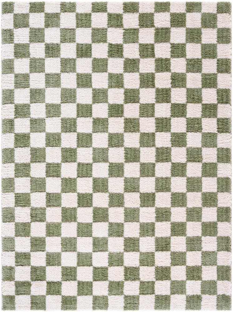 Livabliss - Fossay Shag 2x211in Machine Woven Rug - FSG2330-2211 veiw 1