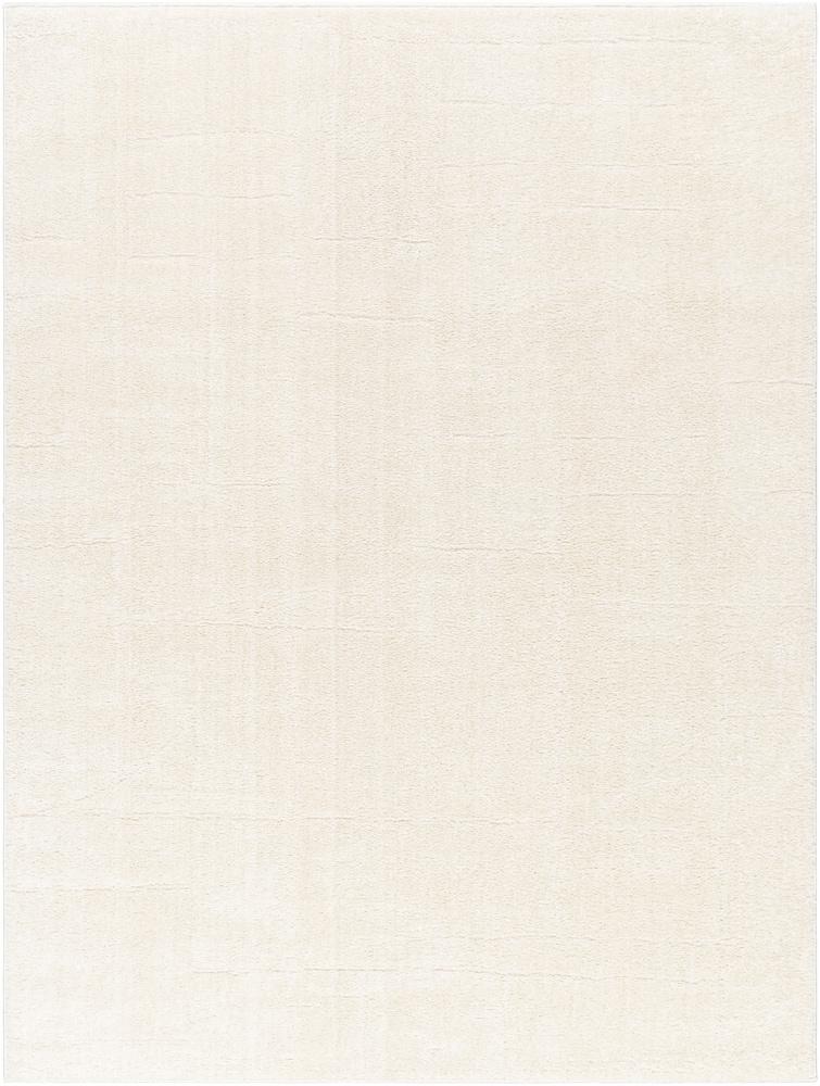 Livabliss - Freud 53inx7 Machine Woven Rug - FEU2309-537 veiw 1
