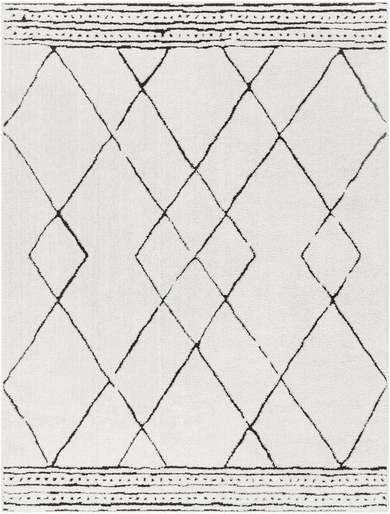 Livabliss - Freud 53inx7 Machine Woven Rug - FEU2322-537 veiw 1
