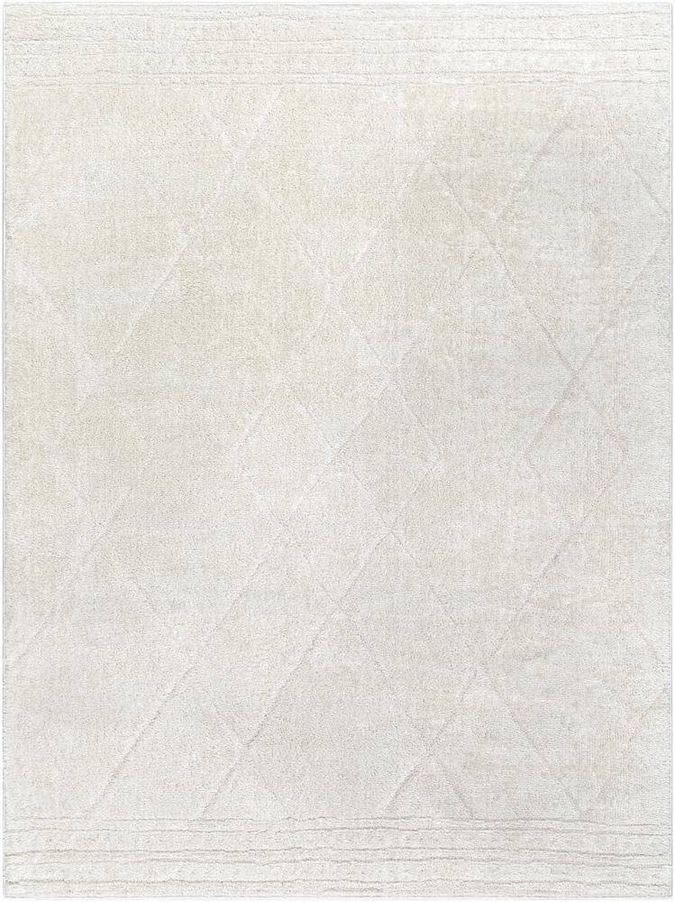 Livabliss - Freud 67inx9 Machine Woven Rug - FEU2324-679 veiw 1