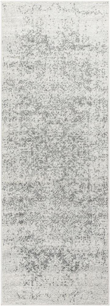 Livabliss - Harput 27inx73in Machine Woven Rug - HAP1024-2773 veiw 1