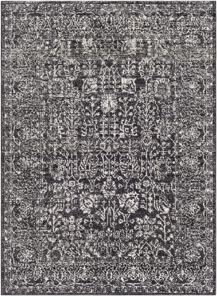 Livabliss - Harput 53inx73in Machine Woven Rug - HAP1028-5373 veiw 1