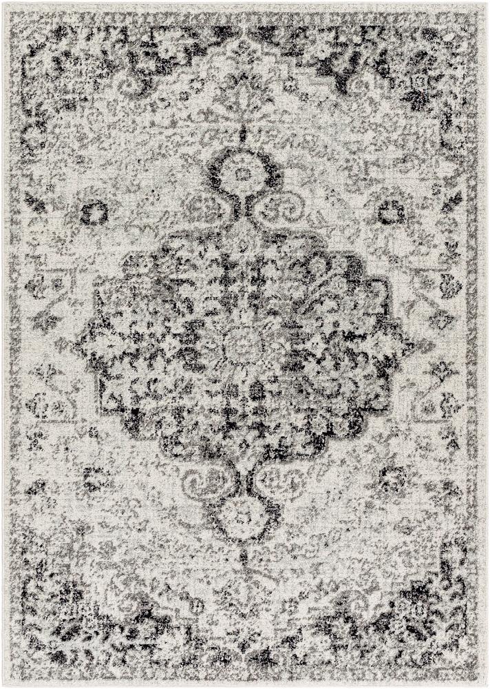 Livabliss - Harput 53inx73in Machine Woven Rug - HAP1061-5373 veiw 1