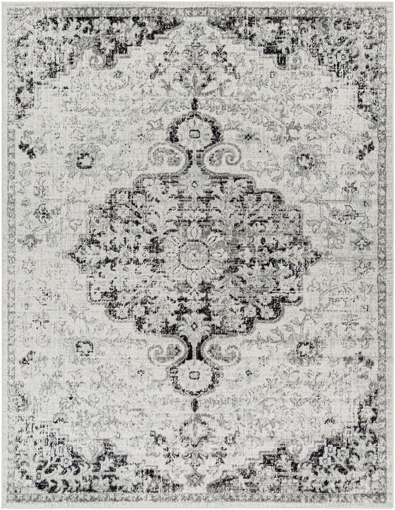 Livabliss - Harput 710inx102in Machine Woven Rug - HAP1061-710103 veiw 1
