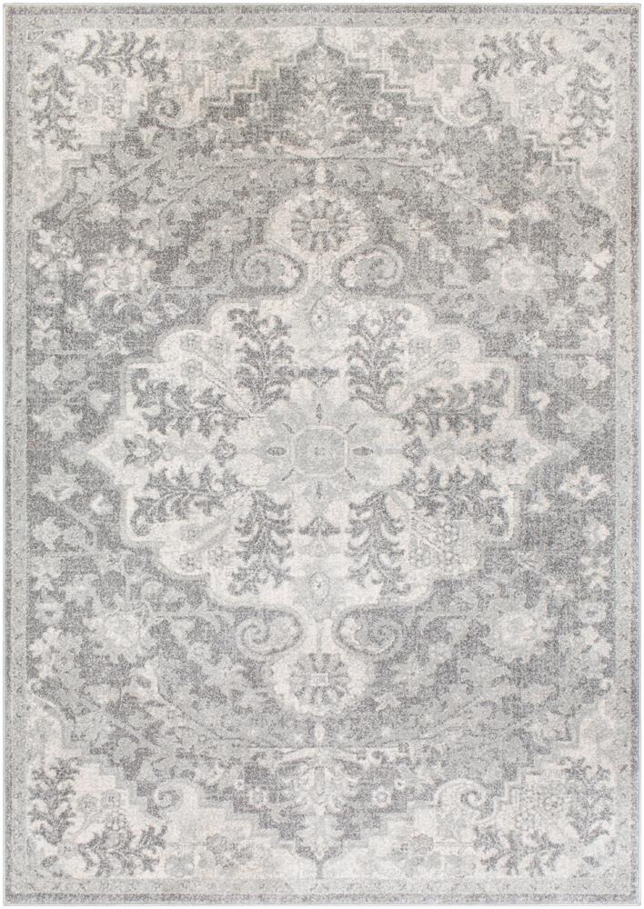 Livabliss - Harput 53inx73in Machine Woven Rug - HAP1070-5373 veiw 1