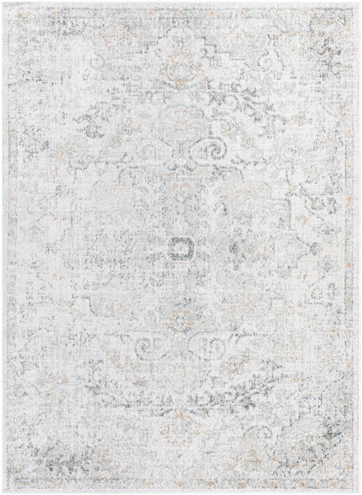 Livabliss - Harput 53inx73in Machine Woven Rug - HAP1162-5373 veiw 1