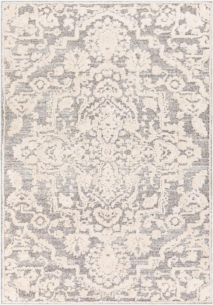 Livabliss - La Maison 53inx73in Machine Woven Rug - LMS2306-5373_CLOSEOUT veiw 1