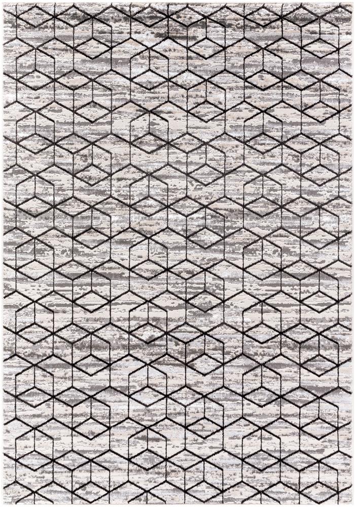 Livabliss - Lustro 53inx7 Machine Woven Rug - LSR2333-527 veiw 1