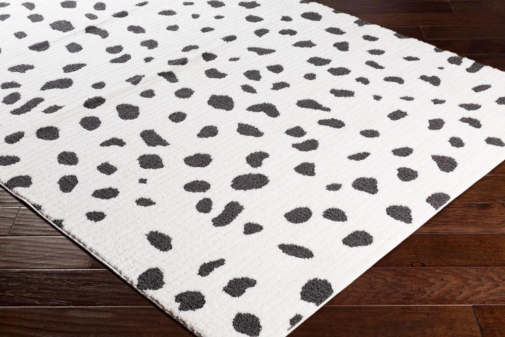 Livabliss - Moroccan Shag 53inx73in Machine Woven Rug - MCS2307-5373 veiw 3