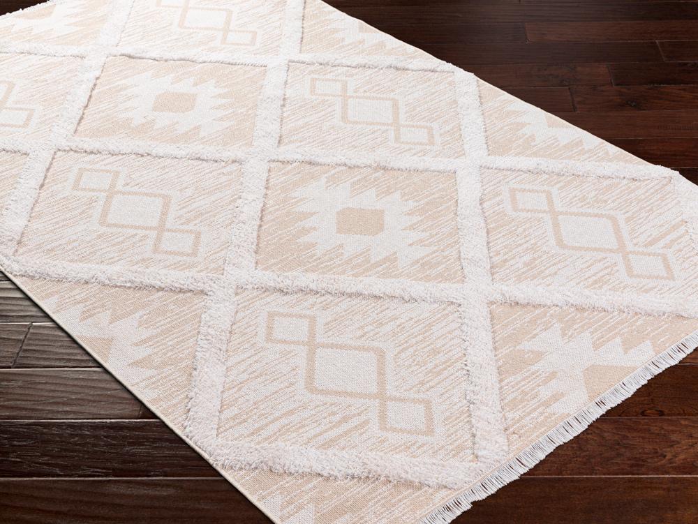 Livabliss - Morocotton 26inx73in Machine Woven Rug - MCT2302-2673_CLOSEOUT veiw 3