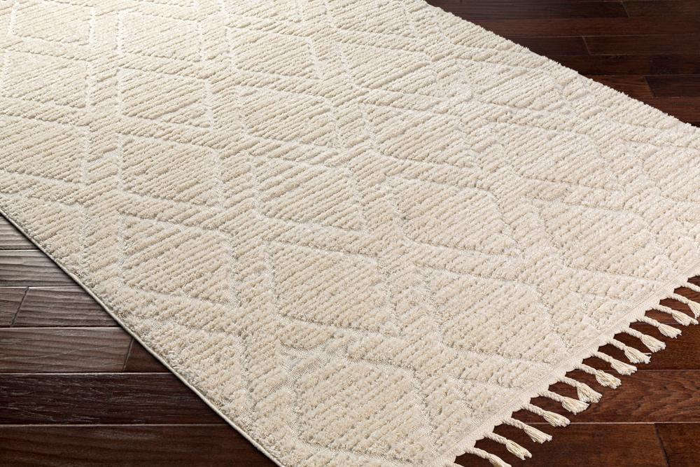 Livabliss - Nora 67inx9 Machine Woven Rug - NOA2308-679_CLOSEOUT veiw 3