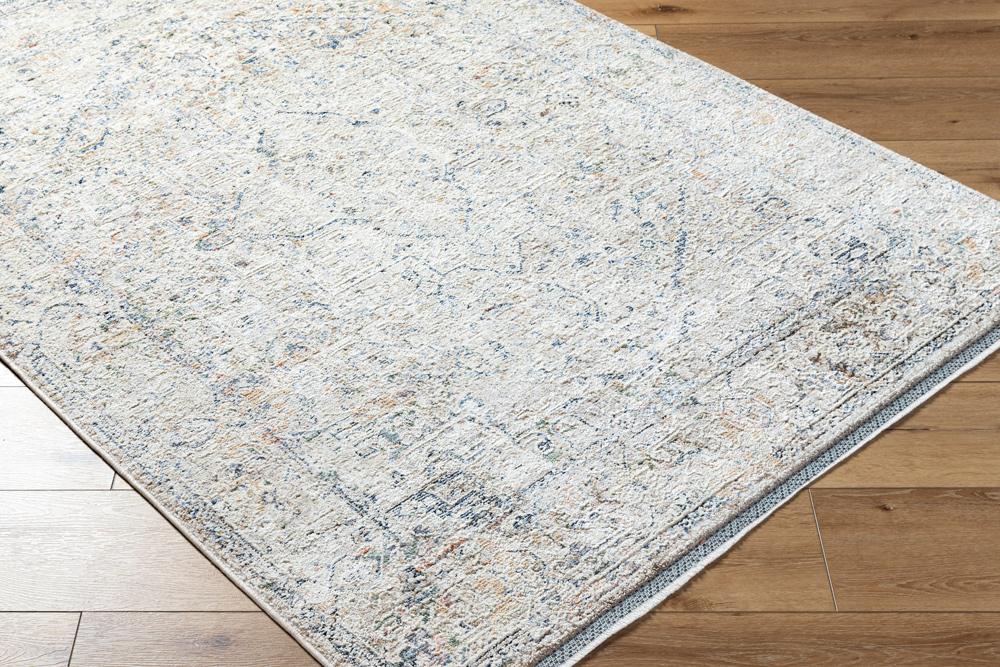 Livabliss - Rivaldo 5x7 Machine Woven Rug - RVD2307-57 veiw 3