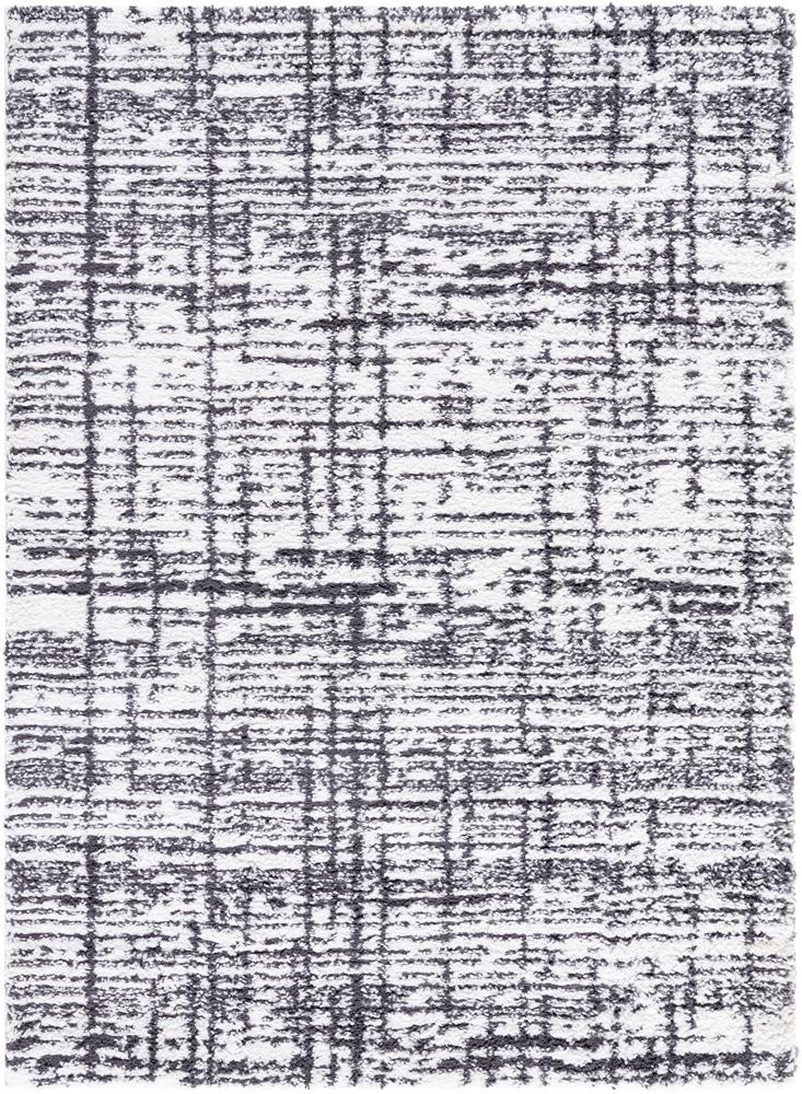 Livabliss - Sacramento Shag 710inx10 Machine Woven Rug - SCS2304-71010 veiw 1