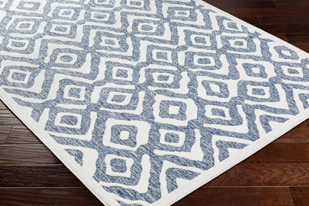 Livabliss - San Diego 53inx7 Machine Woven Rug - SFG2313-537_CLOSEOUT veiw 3