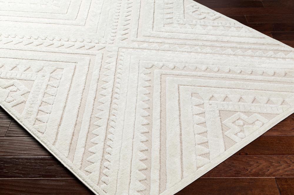 Livabliss - San Diego 67inx9 Machine Woven Rug - SFG2353-679_CLOSEOUT veiw 3