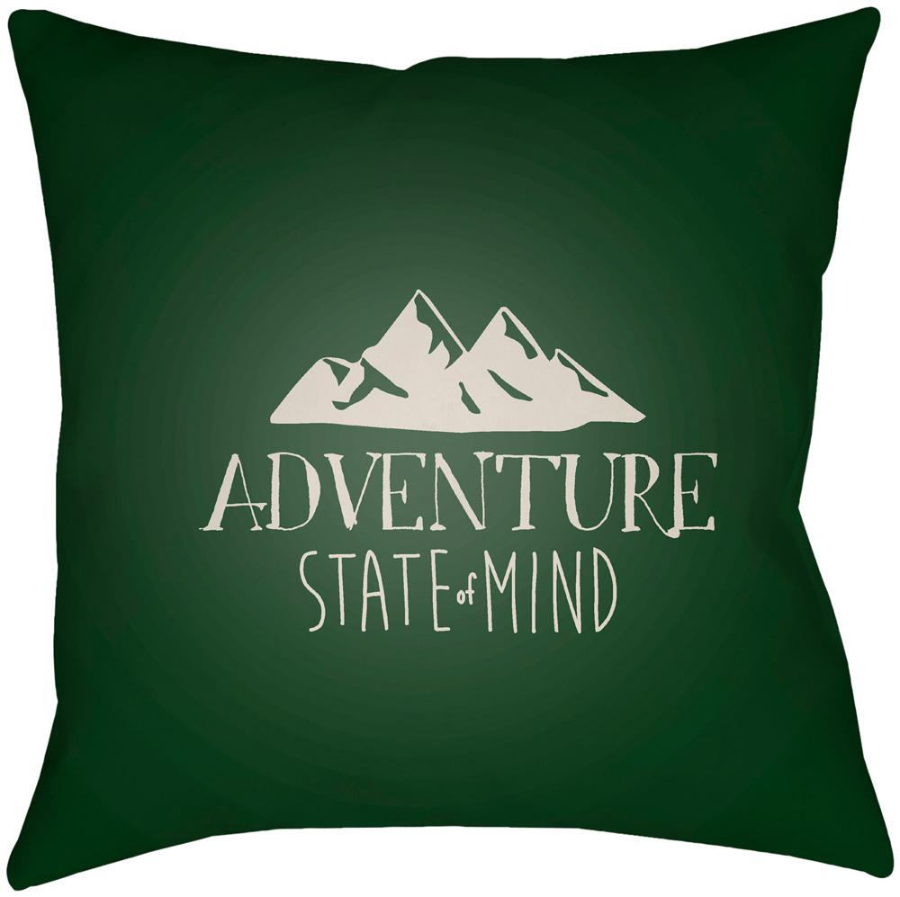 Livabliss - Adventure III 20inLx20inW Accent Pillow - ADV006-2020 veiw 1