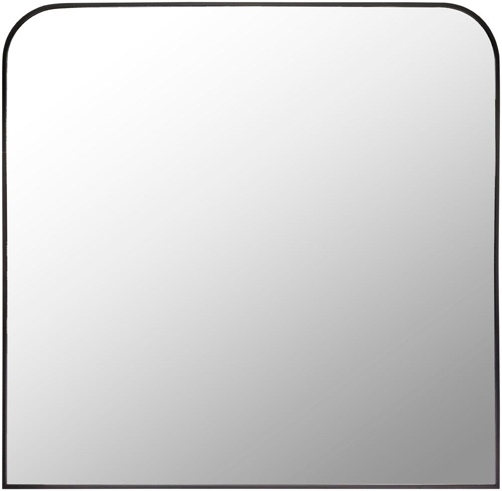 Livabliss - Aranya Accent Mirror - Black - RAY007-3635 veiw 1