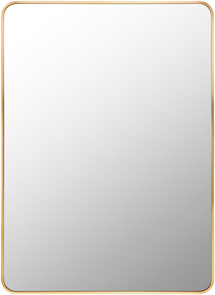 Livabliss - Aranya Accent Mirror - Gold - RAY024-3041 veiw 1