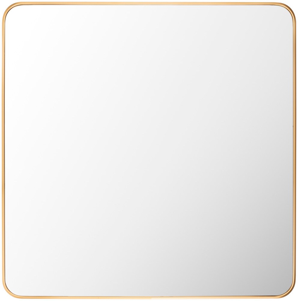 Livabliss - Aranya Accent Mirror - Gold - RAY032-3232 veiw 1