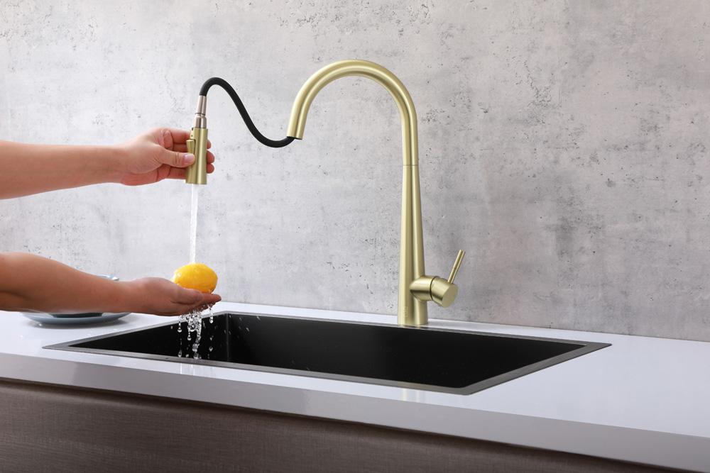 Elegant Furniture & Lighting - Lucas Single Handle Pull Down Sprayer Kitchen Faucet in Brushed Gold - FAK-301BGD veiw 5