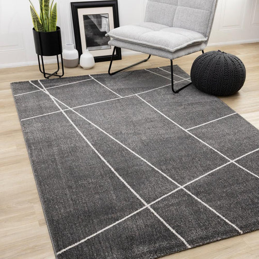 Kalora Interiors - Mae Grey White Organic Line Design Rug, 53in x 77in - 34120/3161 160230 veiw 2