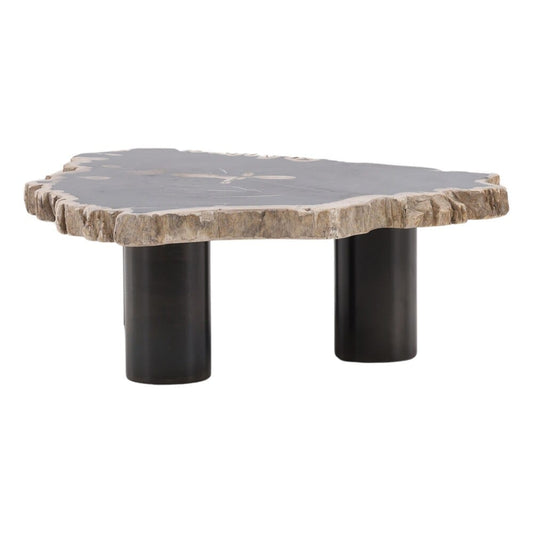 Henry & Mason - Sheji 11in Tall Natural Petrified Wood and Black Iron Coffee Table - DV7250 veiw 2