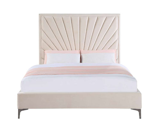 ACME Furniture - Faiz Queen Bed - Beige Velvet - BD00957Q veiw 3