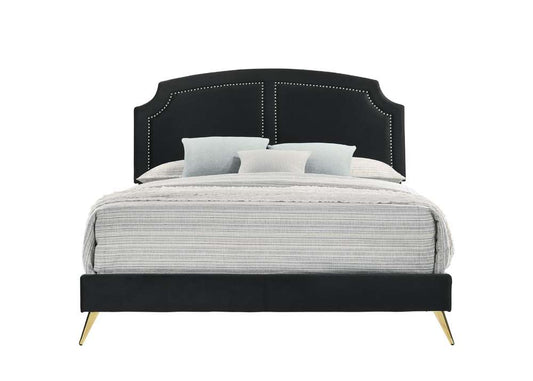ACME Furniture - Zeena Queen Bed - Black Velvet - BD01176Q veiw 2