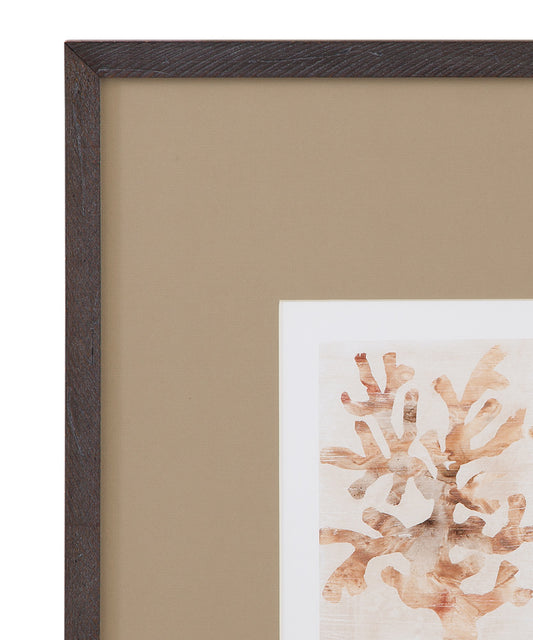 Bassett Mirror - Parchment Coral Framed Print Set of 4 in Brown - 9902-275-000 view 2