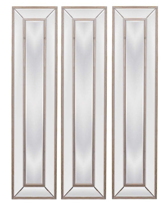 Bassett Mirror - Pompano Floor Mirror - M3846BEC veiw 2