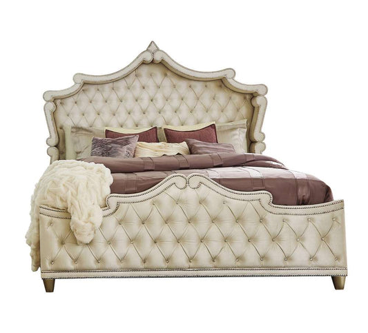 Coaster - Antonella Queen Bed - 223521Q veiw 2