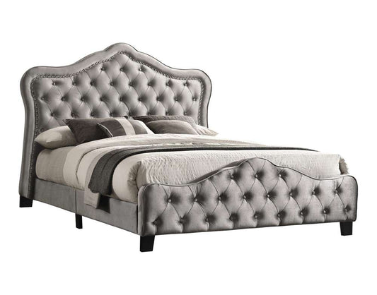 Coaster - Bella Queen Bed - 315871Q veiw 2
