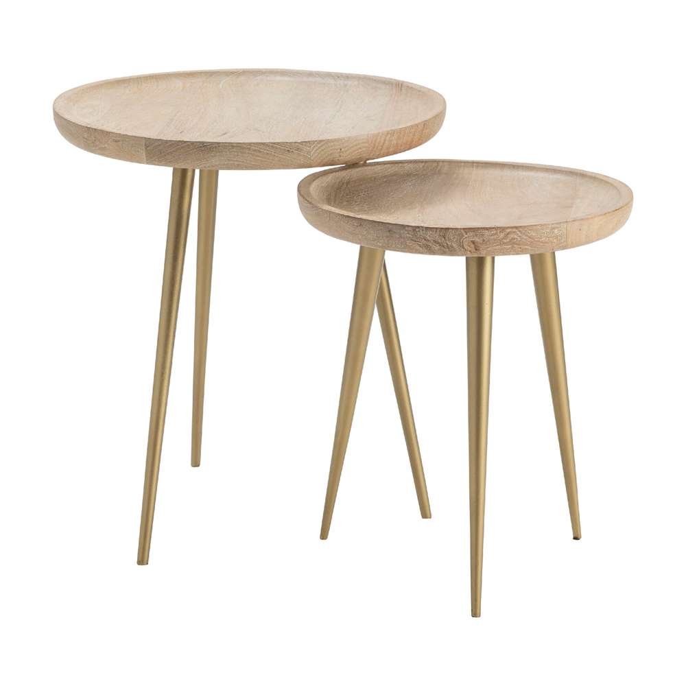 Crestview Collection - Bengal Manor Mango Wood Tray Top Accent Tables with Antique Brass Metal Legs - CVFNR670 veiw 1